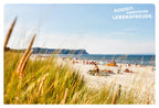 52 kleine & große Eskapaden auf und um Rügen