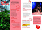 MARCO POLO Hin & Weg Low Budget Europa