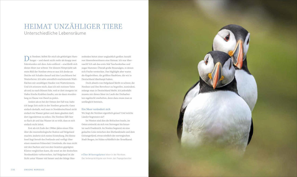 Bildband - Unsere Meere