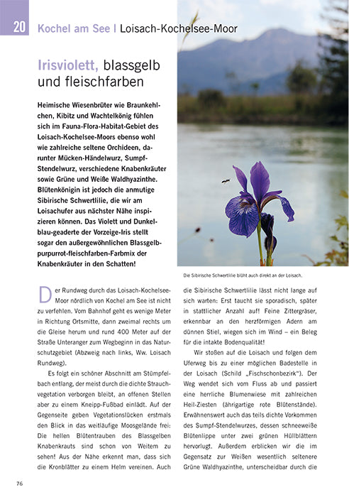 Die schönsten Blüten-Wanderungen in Oberbayern & Tirol 02