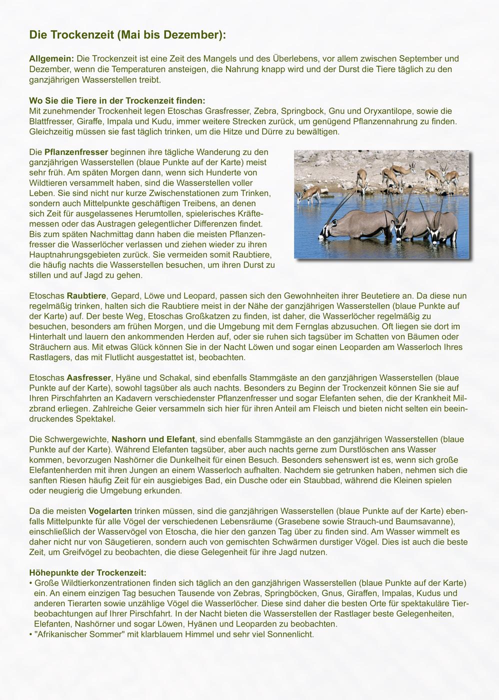 Das komplette Kartenset NAMIBIA (3-teilig)