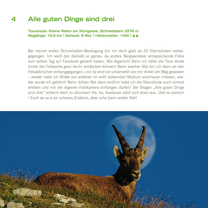 Wanderungen zu den Steinböcken