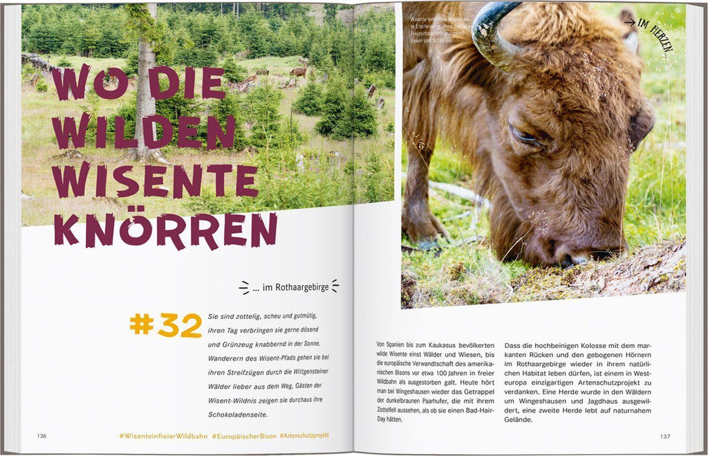 52 kleine & große Eskapaden in Deutschland - Unterwegs mit Kindern