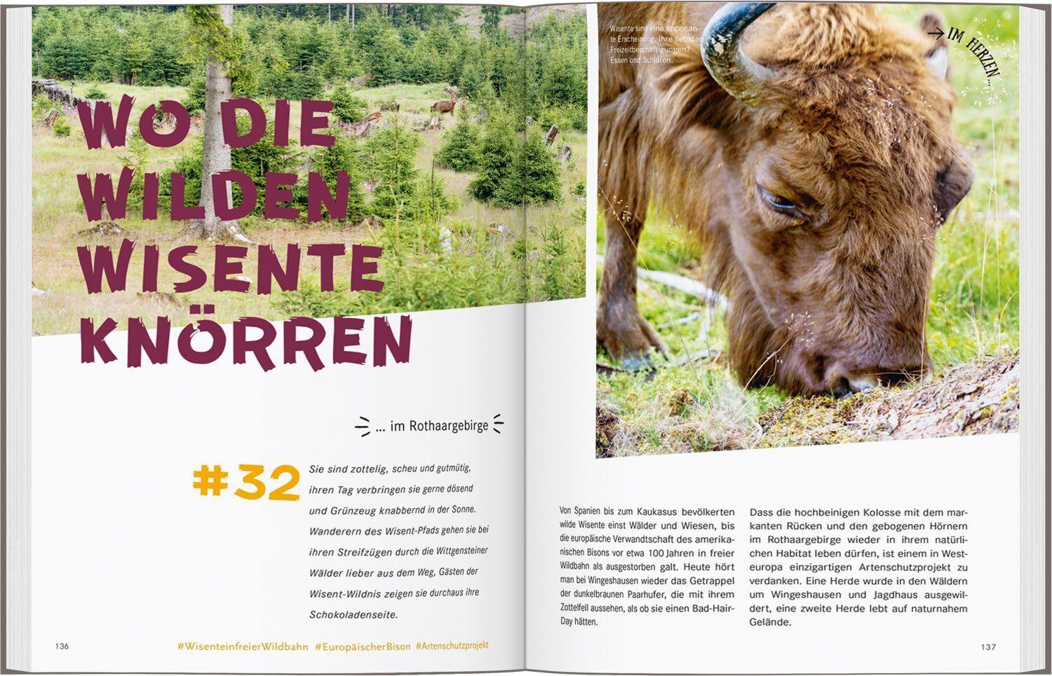 52 kleine & große Eskapaden in Deutschland - Unterwegs mit Kindern