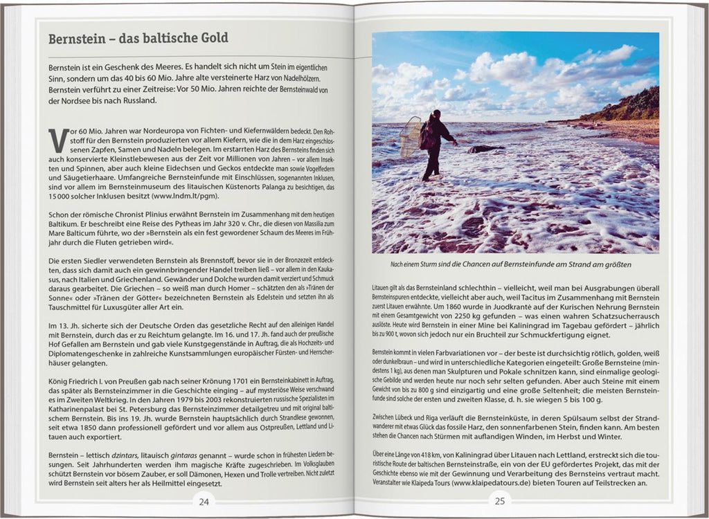 DUMONT Reise-Handbuch Reiseführer Baltikum
