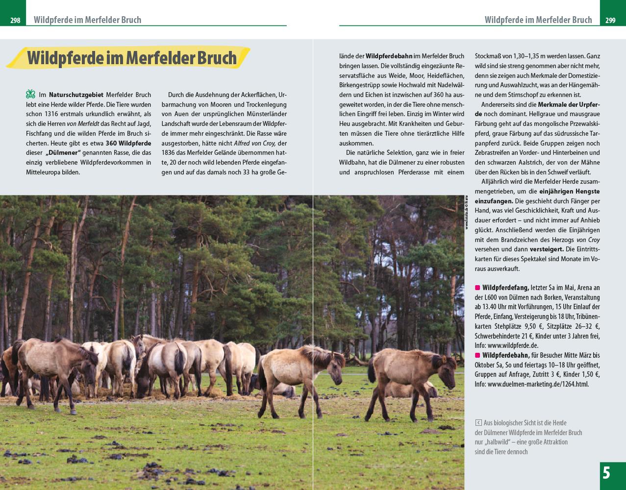 Reise Know-How Reiseführer Münsterland