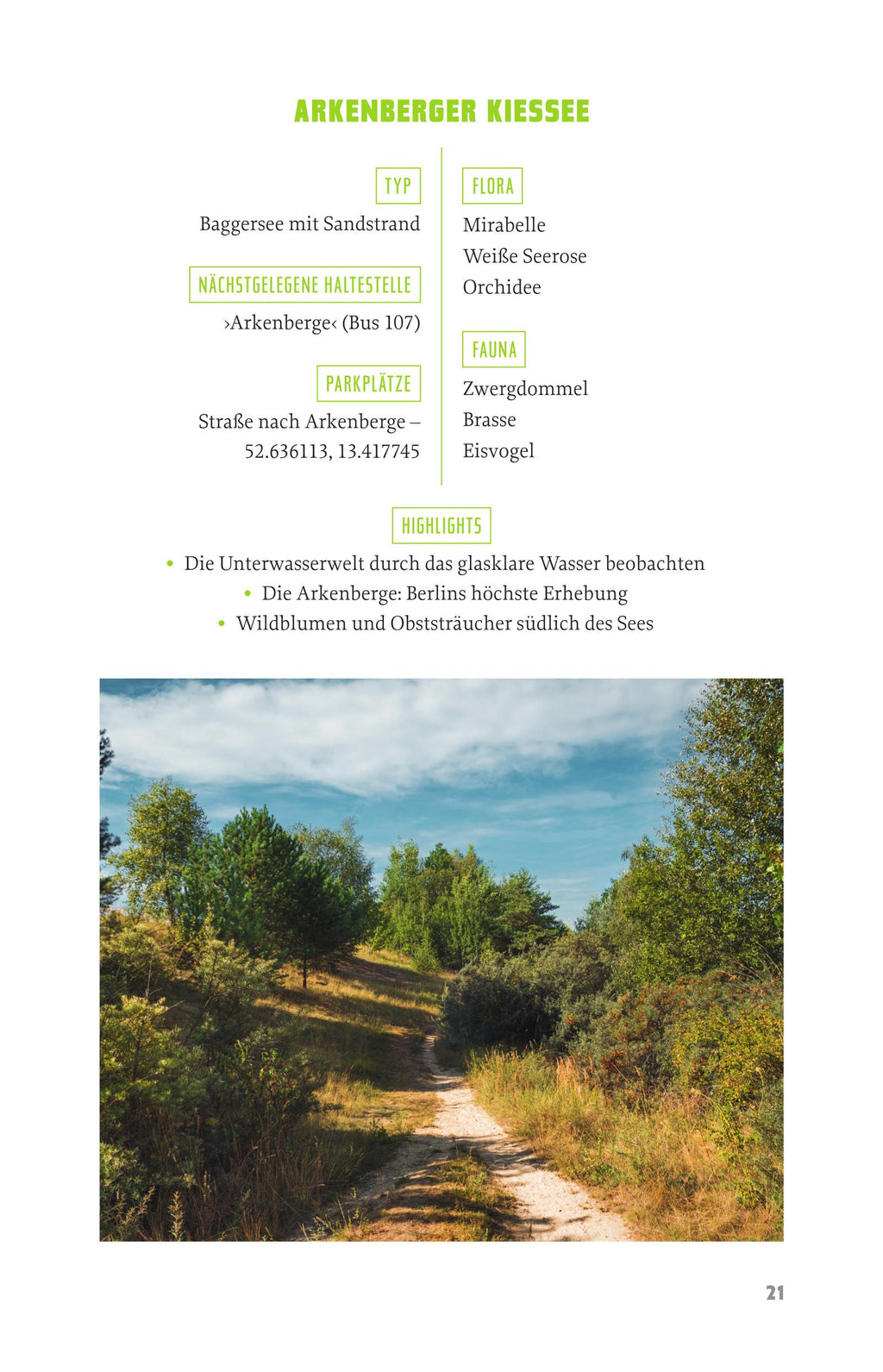 WILDBERLIN