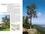 Leichte Wanderungen Schwäbische Alb