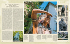 Journey through Saxony - Reise durch Sachsen
