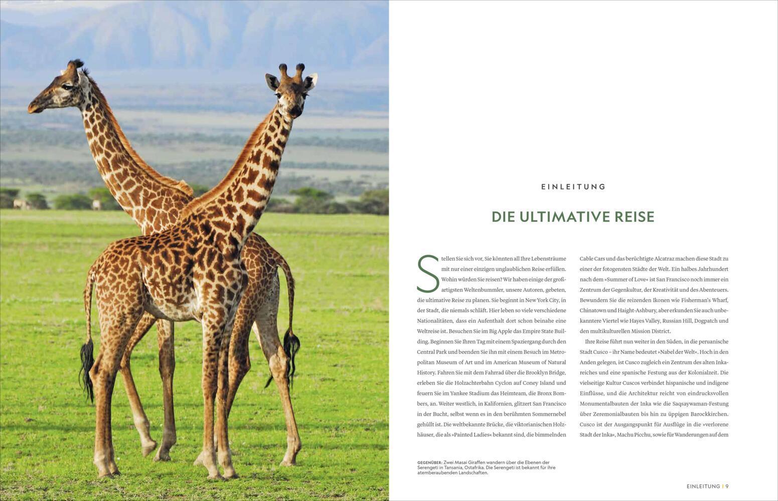 Das ultimative Weltreisebuch