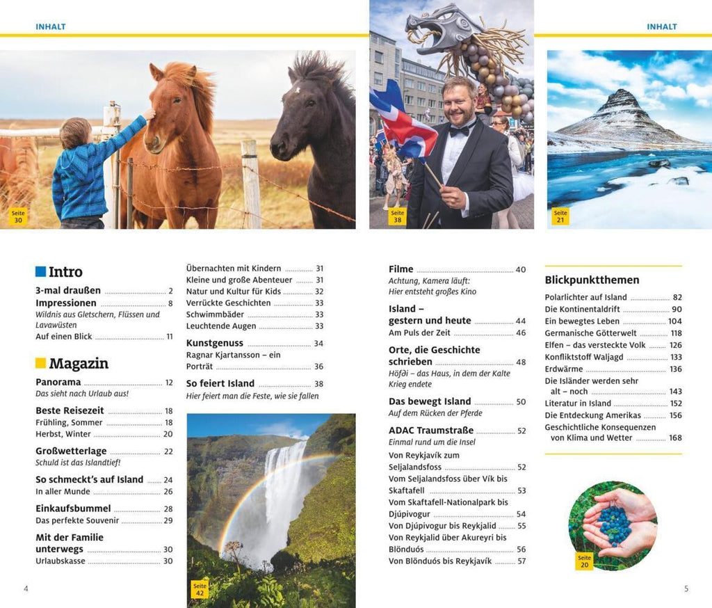 ADAC Reiseführer plus Island