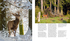 NATURERLEBNIS WILDER SCHWARZWALD