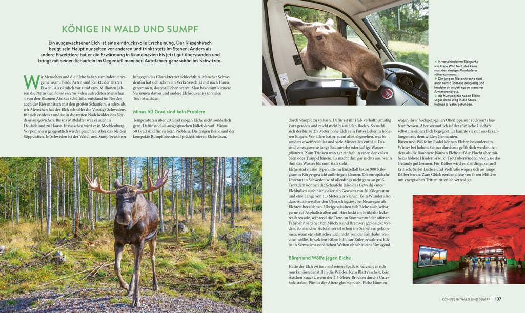 Roadtrips Schweden