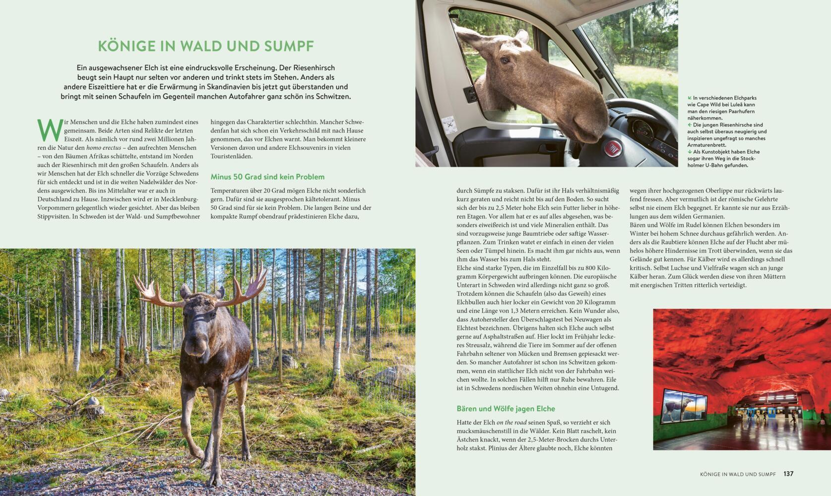 Roadtrips Schweden