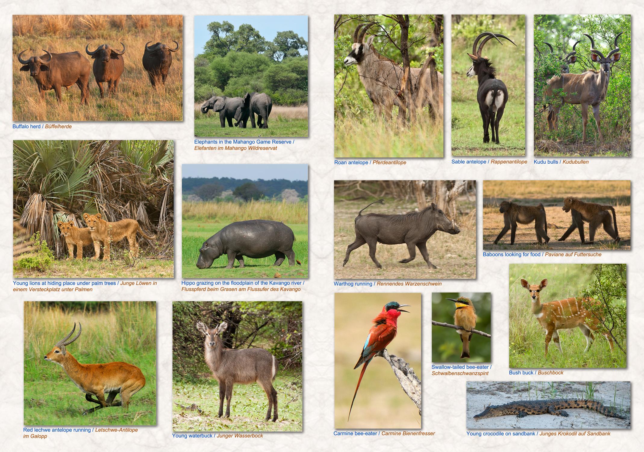 NAMIBIA