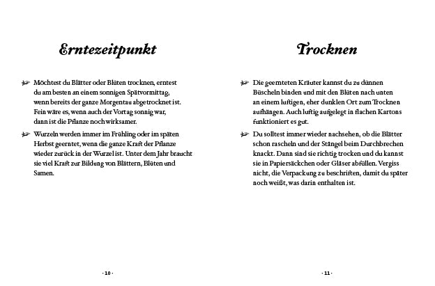 Das kleine Buch: Kräuterwanderung mit Kindern