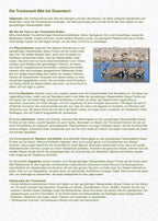 ETOSCHA KARTE (Etosha National Park, Namibia) mit Fotogalerie