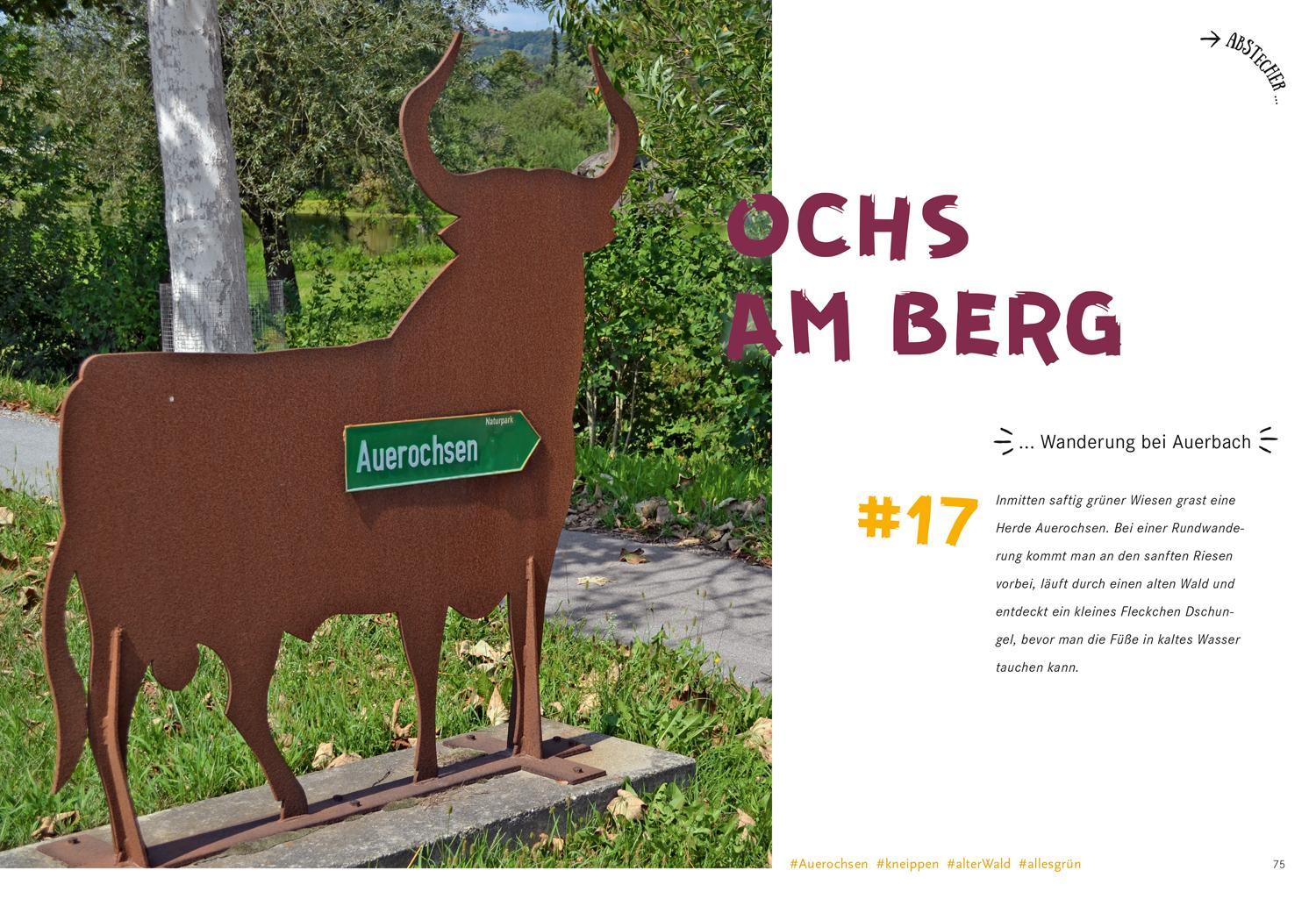 52 kleine & große Eskapaden im Bayerischen Wald