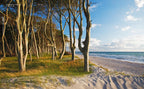 Hidden Beaches Deutschland