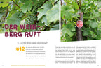 52 kleine & große Eskapaden Wetterau und Vogelsberg
