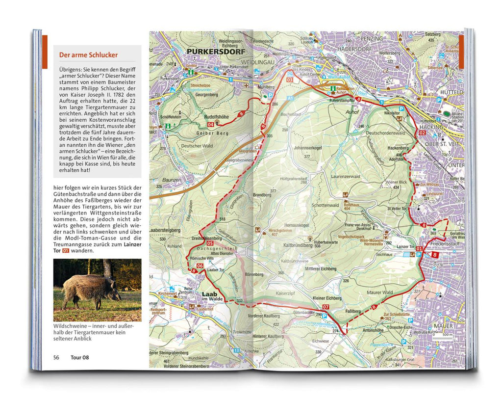 KOMPASS Wanderführer Wien mit Wienerwald, Wein- und Waldviertel, 60 Touren mit Extra-Tourenkarte