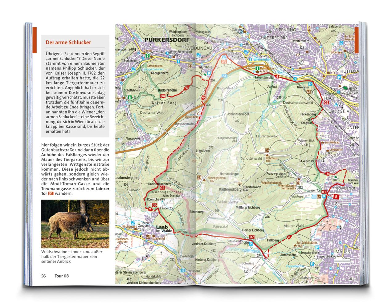 KOMPASS Wanderführer Wien mit Wienerwald, Wein- und Waldviertel, 60 Touren mit Extra-Tourenkarte