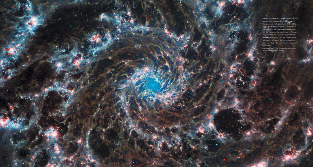Unser neues Auge im All - Das James-Webb-Weltraumteleskop