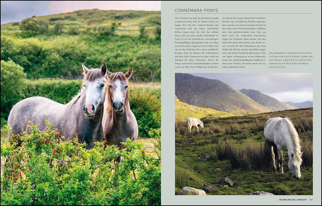 KUNTH Irland. Das Buch