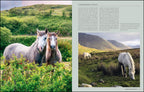 KUNTH Irland. Das Buch