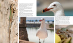 NATURERLEBNIS MALLORCA
