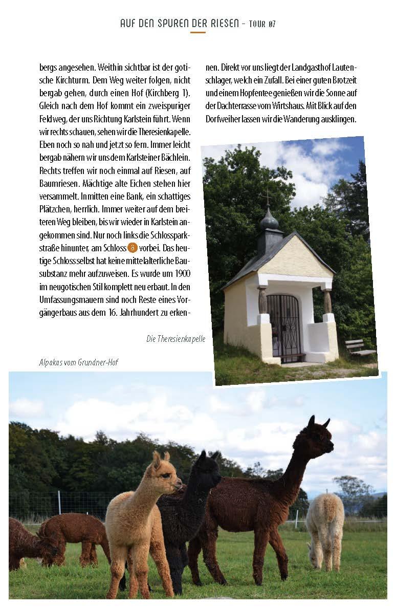 Genusswandern Regental