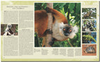 Reise durch Madagaskar