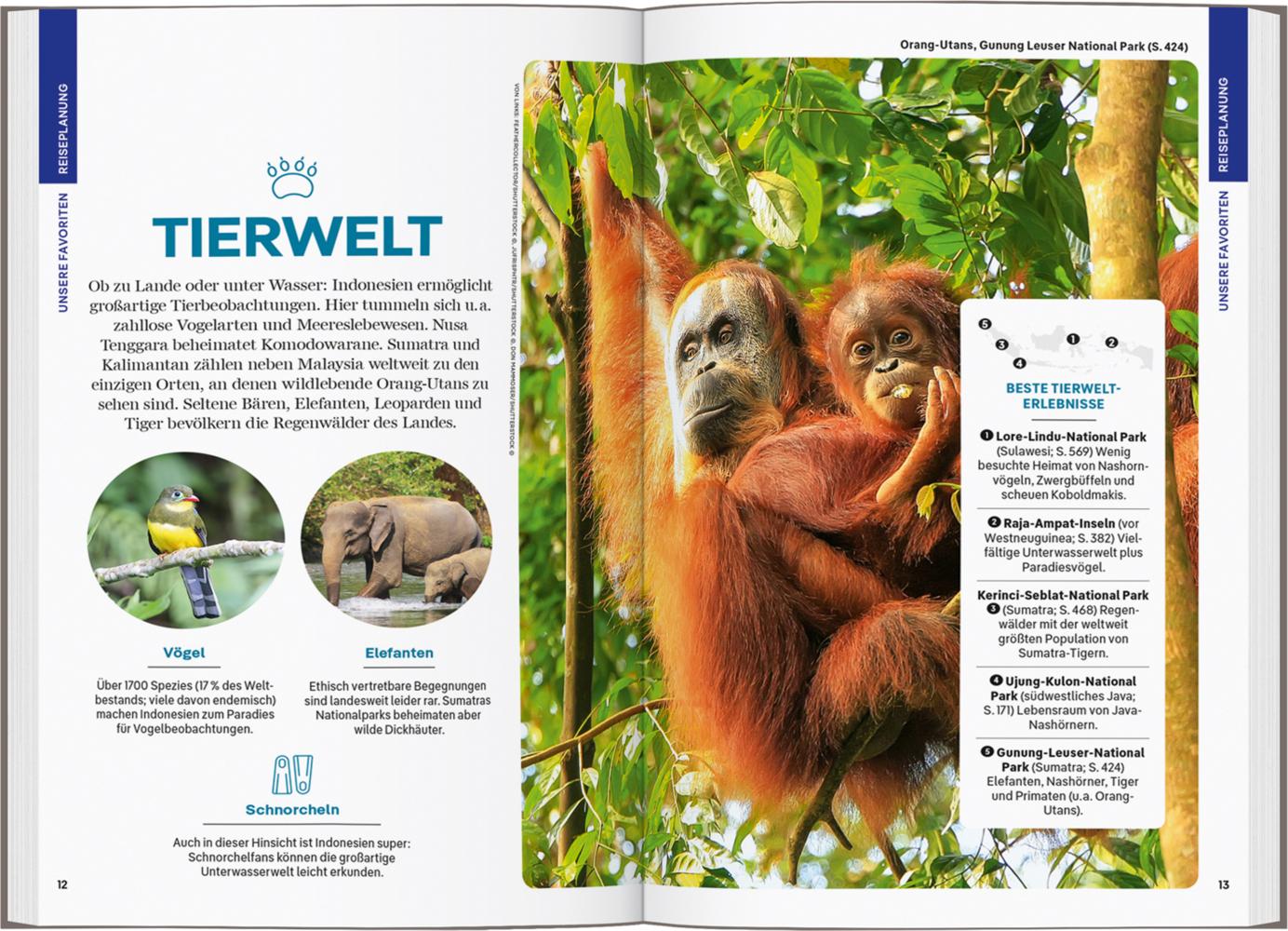 LONELY PLANET Reiseführer Indonesien