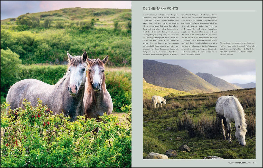 KUNTH Irland. Das Buch