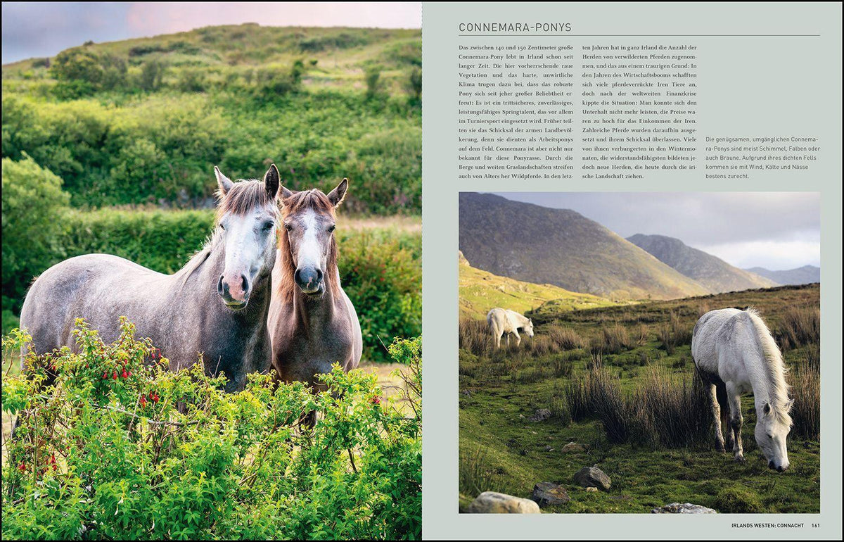 KUNTH Irland. Das Buch