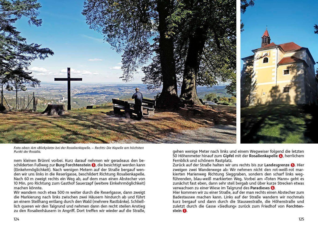 ROTHER Wanderführer Leithagebirge - Rosaliengebirge