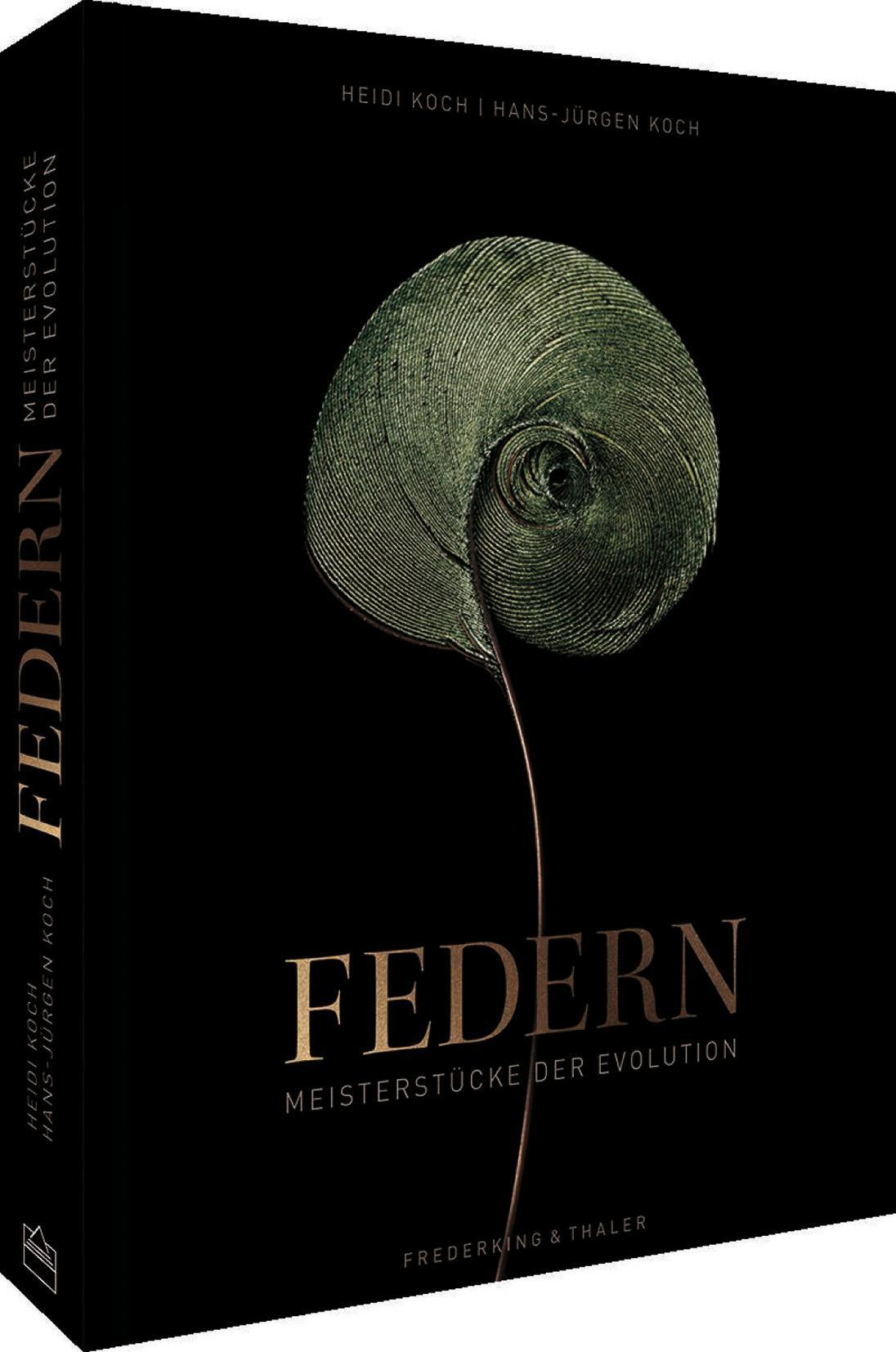 Bildband Federn: Meisterstücke der Evolution