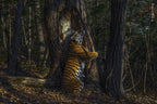 Wildlife Fotografien des Jahres - Portfolio 30.