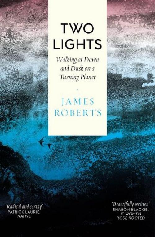 Two Lights