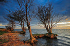 Müritz-Nationalpark