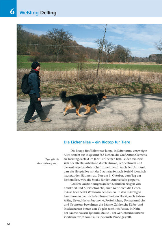 Die schönsten Wanderungen mit Hunden