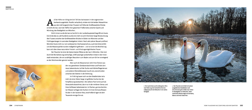 Wilde Isar