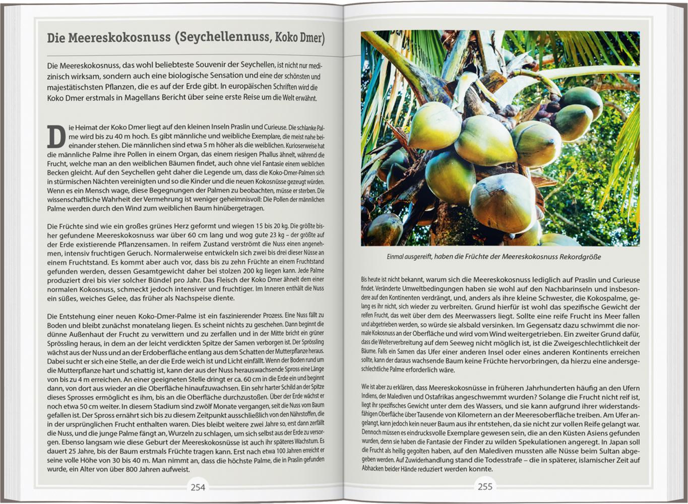DUMONT Reise-Handbuch Reiseführer Seychellen