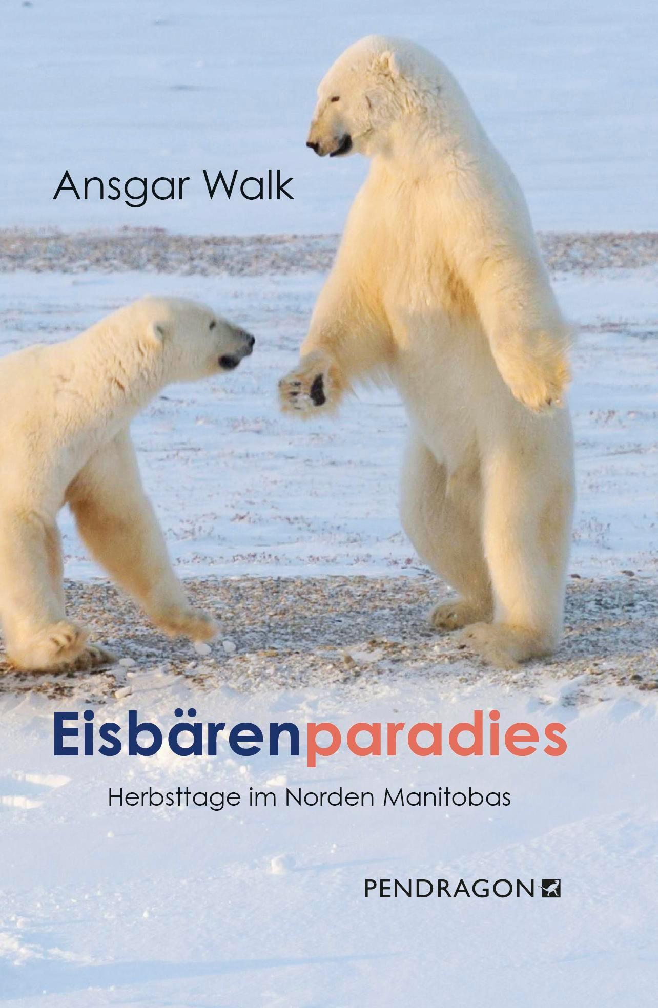 Eisbärenparadies