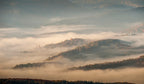 NATURERLEBNIS WILDER SCHWARZWALD