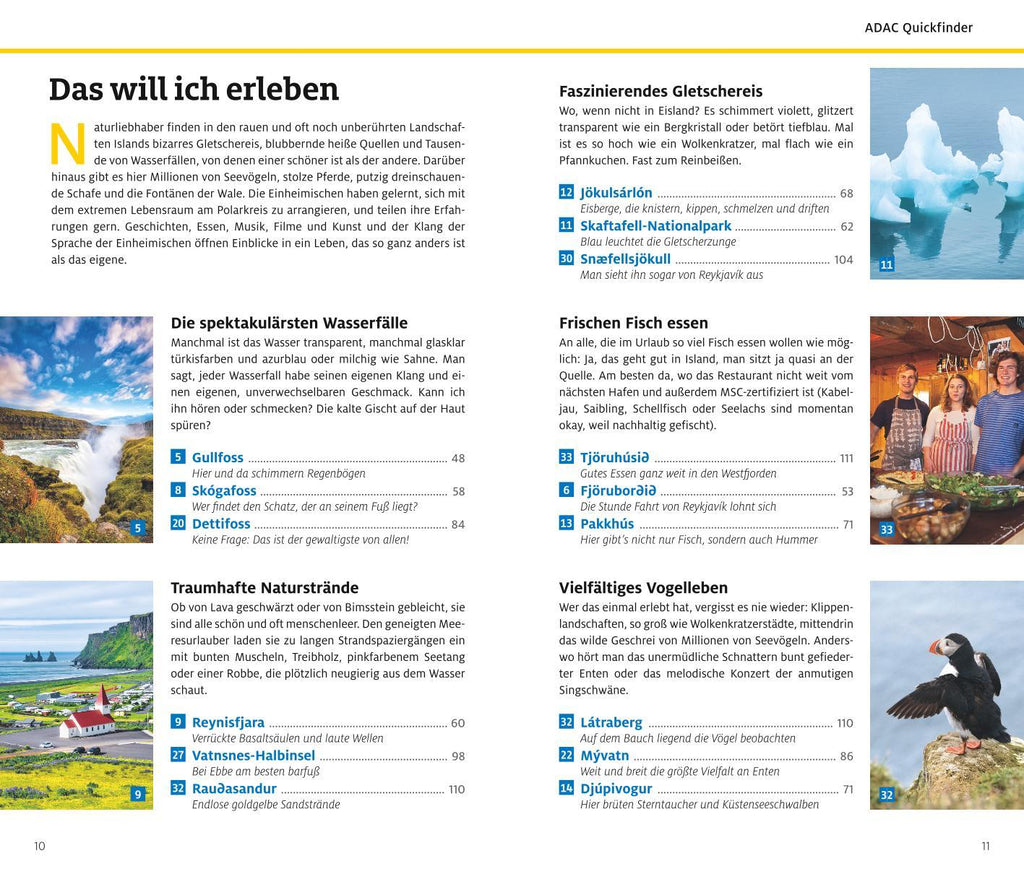 ADAC Reiseführer Island