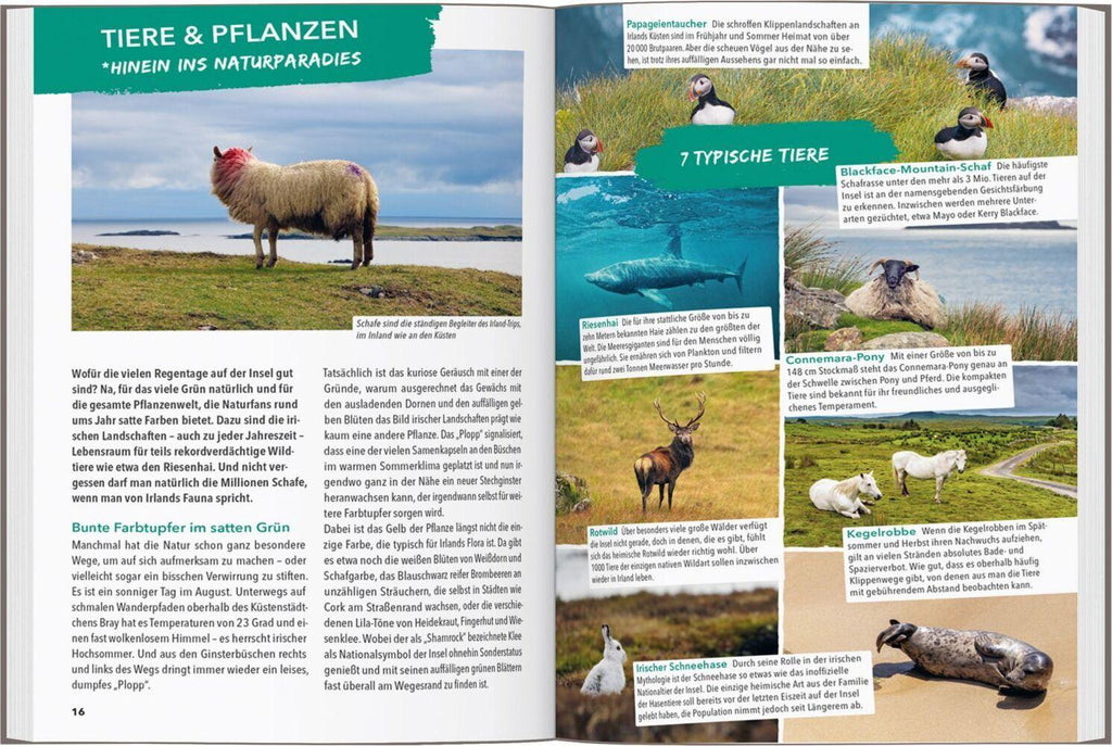 MARCO POLO OUTDOOR GUIDE Reiseführer Irland & Nordirland