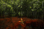 Wildlife Fotografien des Jahres - Portfolio 34