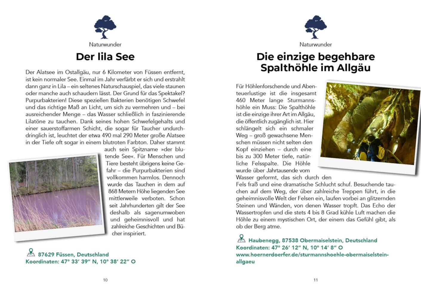 Der verrückteste Reiseführer für die Alpen