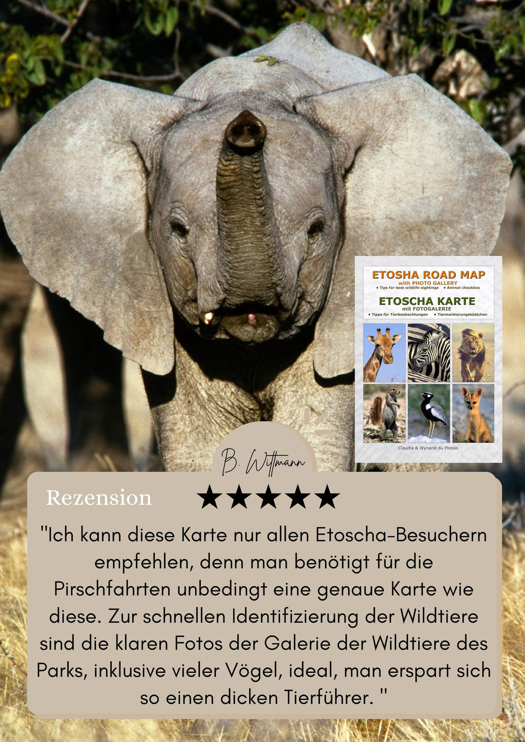 ETOSCHA KARTE (Etosha National Park, Namibia) mit Fotogalerie